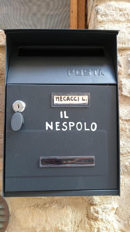 Appartamento Il Nespolo San Gimignano Luaran gambar